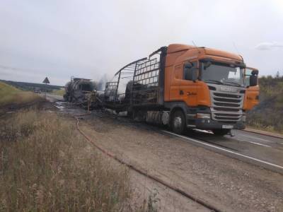Инспекция труда выясняет обстоятельства смертельного ДТП в Кстовском районе - vgoroden.ru - Нижегородская обл.