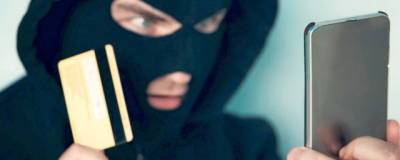 Алтайцы отдали мошенникам около 20 млн рублей - runews24.ru - респ. Алтай