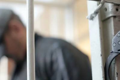 Подозреваемого в изнасиловании девочки в Шахтах заключили под стражу - rostov.mk.ru - Россия - Ростовская обл.