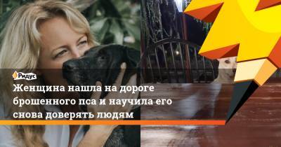 Женщина нашла на дороге брошенного пса и научила его снова доверять людям - ridus.ru - Индонезия