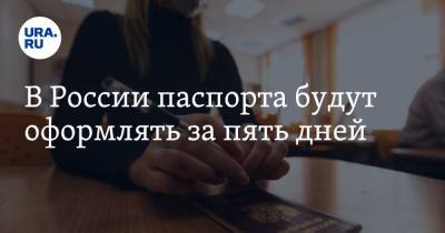 В России паспорта будут оформлять за пять дней - ura.news - Россия
