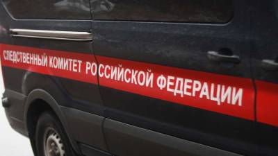 Александр Бастрыкин - Бастрыкин поручил разобраться в смерти подростка под Волгоградом - iz.ru - Россия - Израиль - Волгоград - Волгоградская обл.