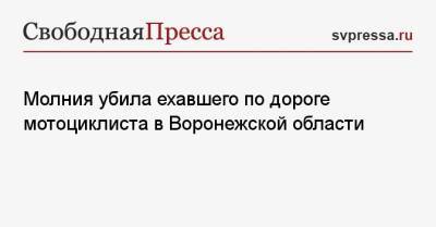 Молния убила ехавшего по дороге мотоциклиста в Воронежской области - svpressa.ru - Ленинградская обл. - Санкт-Петербург - Воронежская обл. - Самара - Свердловская обл.