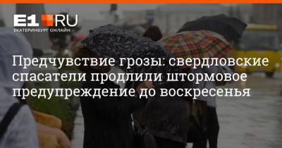 Артем Устюжанин - Предчувствие грозы: свердловские спасатели продлили штормовое предупреждение до воскресенья - e1.ru - Екатеринбург - Свердловская обл.