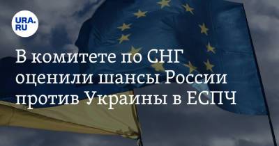 Леонид Калашников - Виктор Водолацкий - В комитете по СНГ оценили шансы России против Украины в ЕСПЧ - ura.news - Россия - Украина