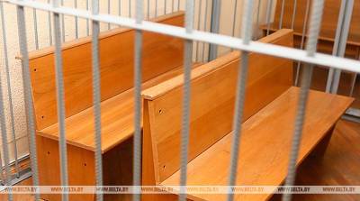 Житель Орши приговорен к лишению свободы за разжигание социальной вражды в интернете - belta.by - Белоруссия - Минск - Полоцк - Орша