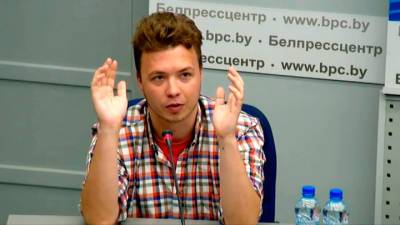 Александр Лукашенко - Протасевич назвал телеграм-каналы "лидером" протестов в Белоруссии - vesti.ru - Белоруссия - Литва