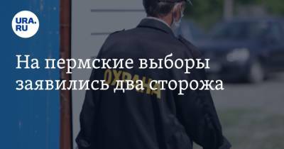 На пермские выборы заявились два сторожа - ura.news - Пермский край