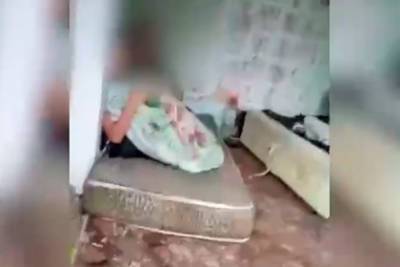 Стали известны подробности обнаружения шести детей-маугли в погребе под Москвой - lenta.ru - Москва