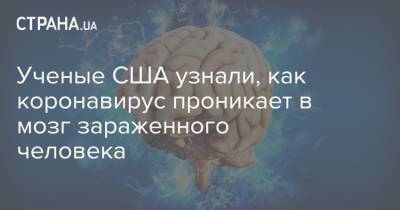 Ученые США узнали, как коронавирус проникает в мозг зараженного человека - strana.ua - США - Украина