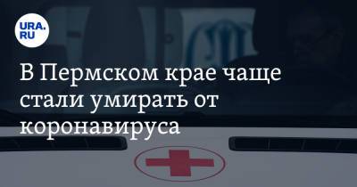 В Пермском крае чаще стали умирать от коронавируса - ura.news - Пермский край