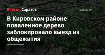 В Кировском районе поваленное дерево заблокировало выезд из общежития - nversia.ru