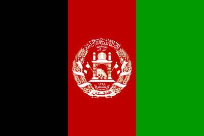 Талибы высказались о новом правительстве Афганистана - mk.ru - Россия - Афганистан