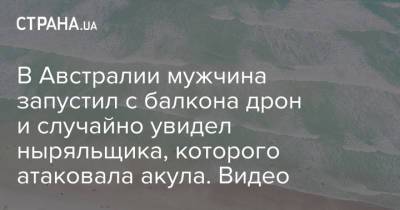 В Австралии мужчина запустил с балкона дрон и случайно увидел ныряльщика, которого атаковала акула. Видео - strana.ua - Украина - Австралия
