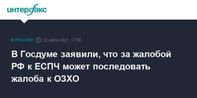 Леонид Калашников - В Госдуме заявили, что за жалобой РФ к ЕСПЧ может последовать жалоба к ОЗХО - interfax.ru - Москва - Россия - Украина