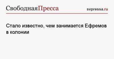 Михаил Ефремов - Иван Охлобыстин - Стало известно, чем занимается Ефремов в колонии - svpressa.ru