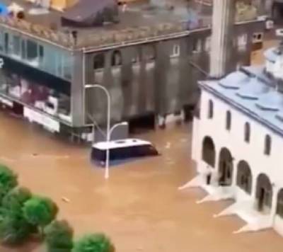 На северо-востоке Турции страшное наводнение, люди спасают домашних животных(фото, видео) - lenta.ua - Украина - Грузия - Турция - Германия