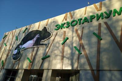 В субботу Тульский экзотариум приглашает познакомиться со змеями - tula.mk.ru - Экология