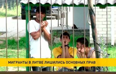 В Литве раскритиковали новый закон о правах мигрантов - ont.by - Белоруссия - Литва - Вильнюс - Брюссель