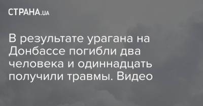 В результате урагана на Донбассе погибли два человека и одиннадцать получили травмы. Видео - strana.ua - Украина - Одесса
