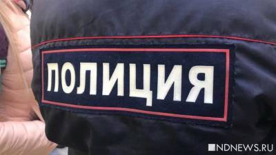 Полицейские подбросили наркотики жительнице Уфы ради продвижения по службе - newdaynews.ru - Россия - Башкирия - Уфа
