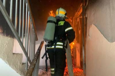 На пожаре в Узловой Тульской области спасли 10 человек, среди которых 7 детей - tula.mk.ru - Россия - Тульская обл.