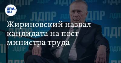Владимир Жириновский - Ярослав Нилов - Михаил Мишустин - Владимир Сипягин - Жириновский назвал кандидата на пост министра труда - ura.news - Россия - Владимирская обл.