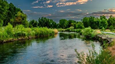 Александр Гусев - Власти взяли на контроль ситуацию с откачкой воды из реки в Воронежской области - vestivrn.ru - Воронеж - Воронежская обл. - Экология