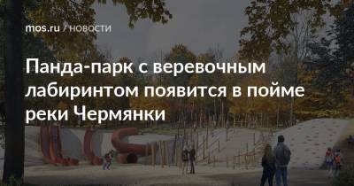 Панда-парк с веревочным лабиринтом появится в пойме реки Чермянки - mos.ru - Москва - Благоустройство