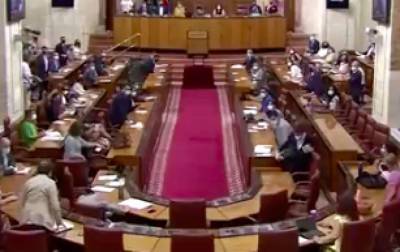 В Испании крыса сорвала заседание парламента - lenta.ua - Украина - Испания - Парламент