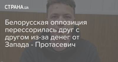 Александр Лукашенко - Роман Протасевич - Светлана Тихановская - Франак Вячорка - Белорусская оппозиция перессорилась друг с другом из-за денег от Запада - Протасевич - strana.ua - Украина - Белоруссия - Литва - Минск