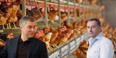 Вячеслав Володин - Володин «в ресурсе» - ukrpost.biz - Белгородская обл. - Курская обл. - Белгород