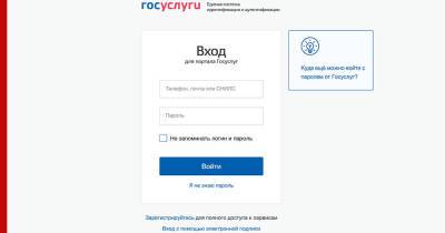 Упростить подачу заявлений на государственные услуги решили в России - profile.ru - Россия