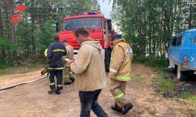 Владимир Путин - Артур Парфенчиков - Площадь лесных пожаров в Карелии снова увеличилась - fedpress.ru - Россия - Петрозаводск - республика Карелия