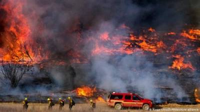 Площадь лесных пожаров в США превысила 500 тысяч гектаров - eadaily.com - США - штат Орегон