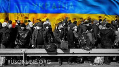 Виктор Янукович - Жительница Украины в прямом эфире озвучила “неудобную правду” для Киева - rusonline.org - Украина - Киев - Николаевская обл.
