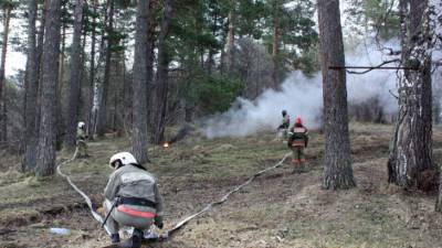 Роман Вильфанд - Вильфанд назвал причину лесных пожаров в Якутии - mir24.tv - Россия - респ. Саха