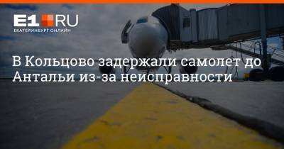 Артем Устюжанин - В Кольцово задержали самолет до Антальи из-за неисправности - e1.ru - Екатеринбург - Турция