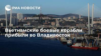 Два ракетных фрегата ВМФ Республики Вьетнама прибыли во Владивосток на празднование Дня ВМФ - ria.ru - Россия - Вьетнам - Владивосток
