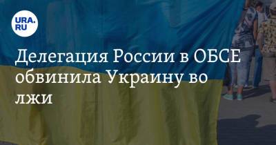 Константин Гаврилов - Делегация России в ОБСЕ обвинила Украину во лжи - ura.news - Россия - Украина - ДНР