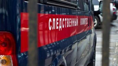 Задержанные в Ставропольском крае экстремисты планировали теракт в Кисловодске - piter.tv - Россия - Ставрополье - Кисловодск