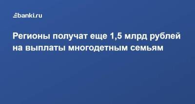Михаил Мишустин - Регионы получат еще 1,5 млрд рублей на выплаты многодетным семьям - smartmoney.one - Россия