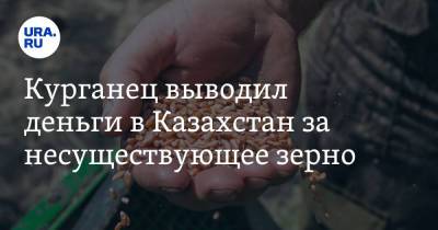 Курганец выводил деньги в Казахстан за несуществующее зерно - ura.news - Россия - Казахстан - Курган