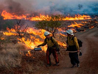 Пожарные на западе США борются с огнем на территории почти 600 тыс. га - trend.az - США - штат Орегон