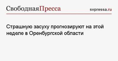 Страшную засуху прогнозируют на этой неделе в Оренбургской области - svpressa.ru - Башкирия - Сочи - Белгородская обл. - Воронежская обл. - респ. Удмуртия - Оренбургская обл. - республика Татарский