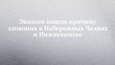 Экологи нашли причину зловония в Набережных Челнах и Нижнекамске - chelny-izvest.ru - респ. Татарстан - Набережные Челны - Нижнекамск - Экология