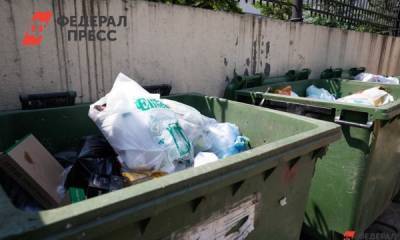 Инвестор отказался от строительства мусорного полигона в Хакасии - fedpress.ru - респ. Хакасия - Саяногорск - Черногорск - Экология