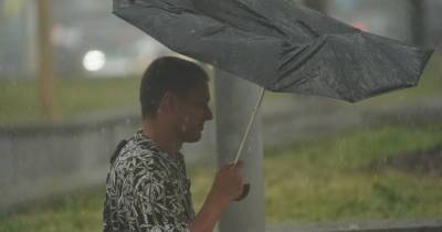 Гидрометцентр Роман Вильфанд - Москвичей в пятницу ждет небольшой дождь - ren.tv - Москва - Россия