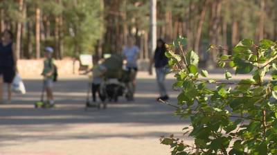 Алексей Гордеев - Красный свет для зелёной зоны. Какие парки Воронежа заждались очереди на реконструкцию - vestivrn.ru - Воронеж