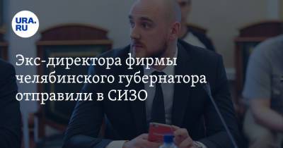 Борис Дубровский - Экс-директора фирмы челябинского губернатора отправили в СИЗО - ura.news - Россия - Челябинск